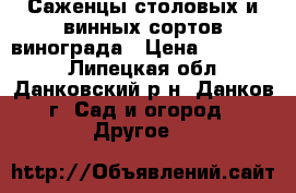 Саженцы столовых и винных сортов винограда › Цена ­ 200-500 - Липецкая обл., Данковский р-н, Данков г. Сад и огород » Другое   